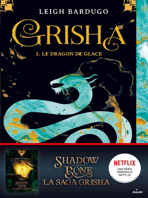 Cover image for Le dragon de glace